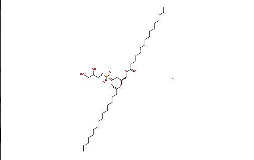 二棕櫚酰磷脂酰甘油